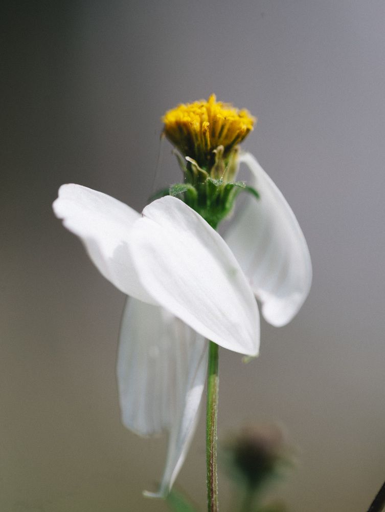 Photograph by Thanh Nguyen