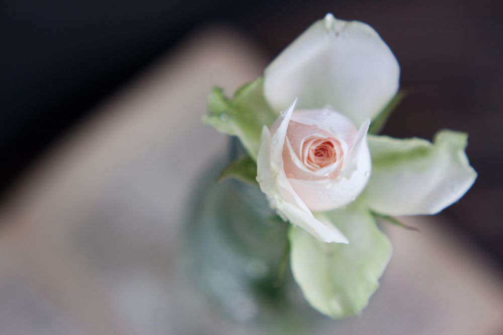 Photograph by Натали Чалык