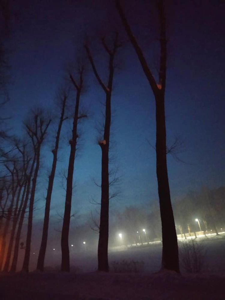 У озера зимой