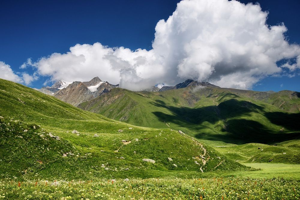 Photograph by Людмила Ефремова