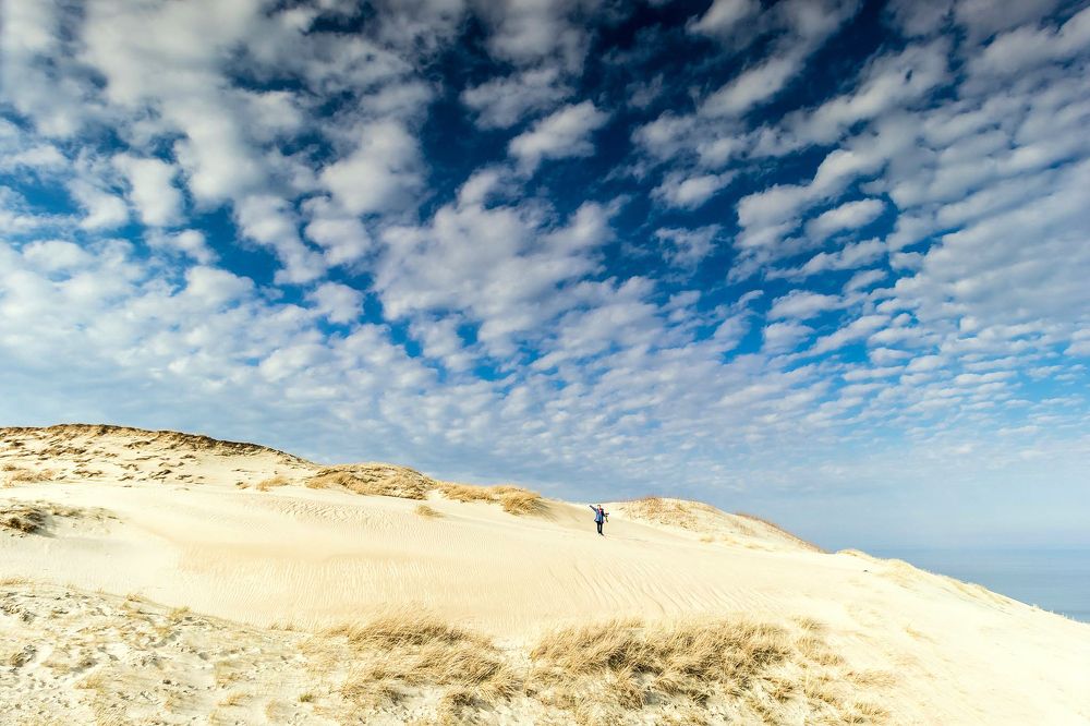 Фотография автора Viaceslavas Bazykas