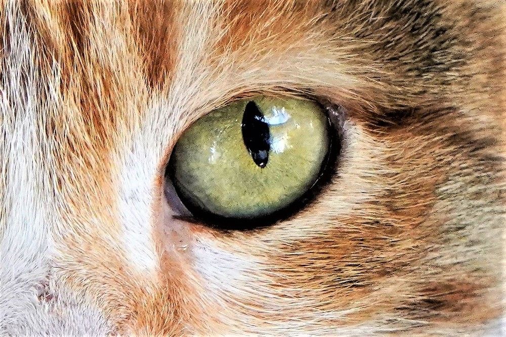 Photograph by Tamir Mor