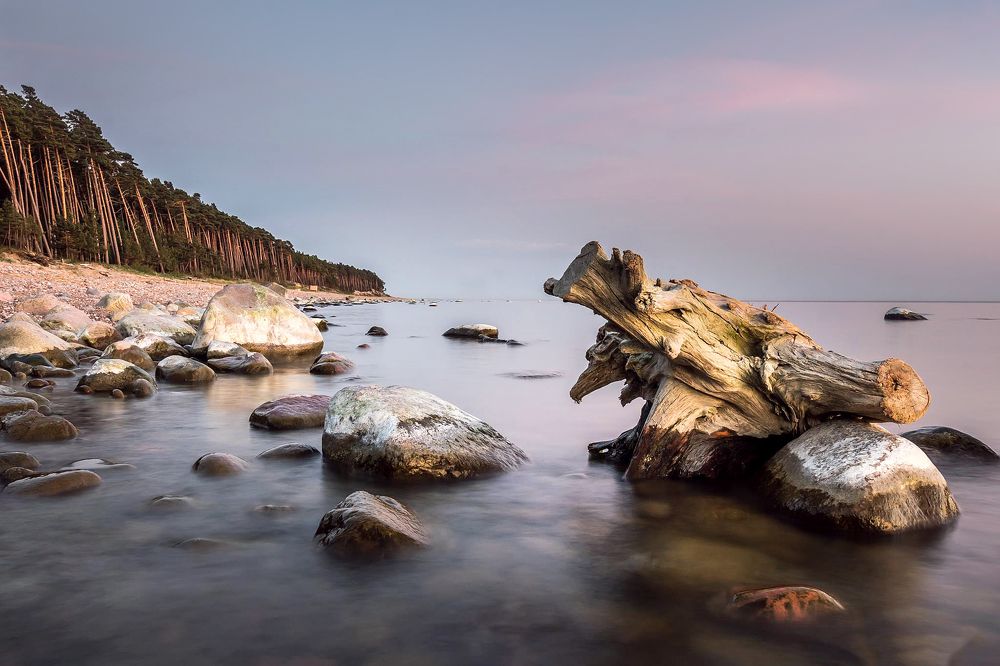 Photograph by Anzela Bazyk