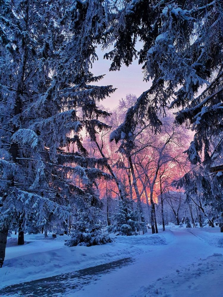 Photograph by Наталья Адалинская