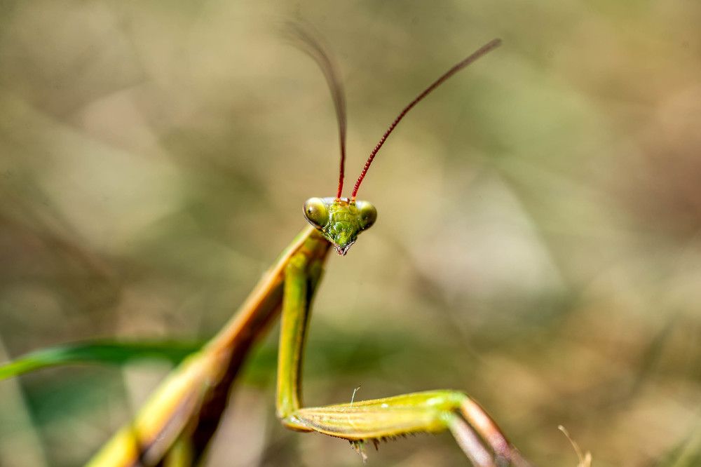 Фотография автора Владимир Оликов