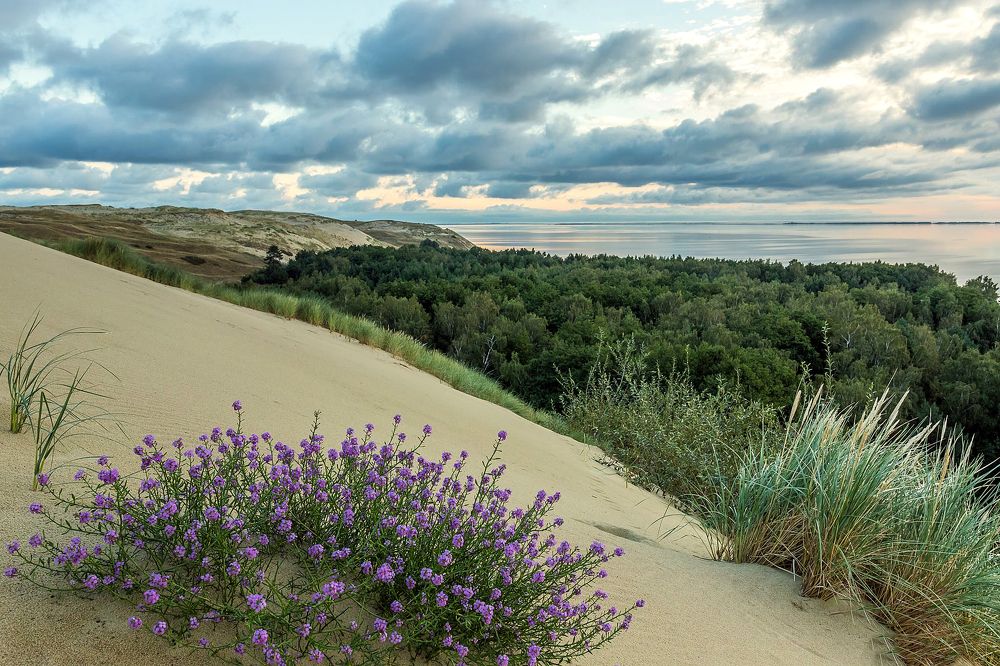 Photograph by Anzela Bazyk