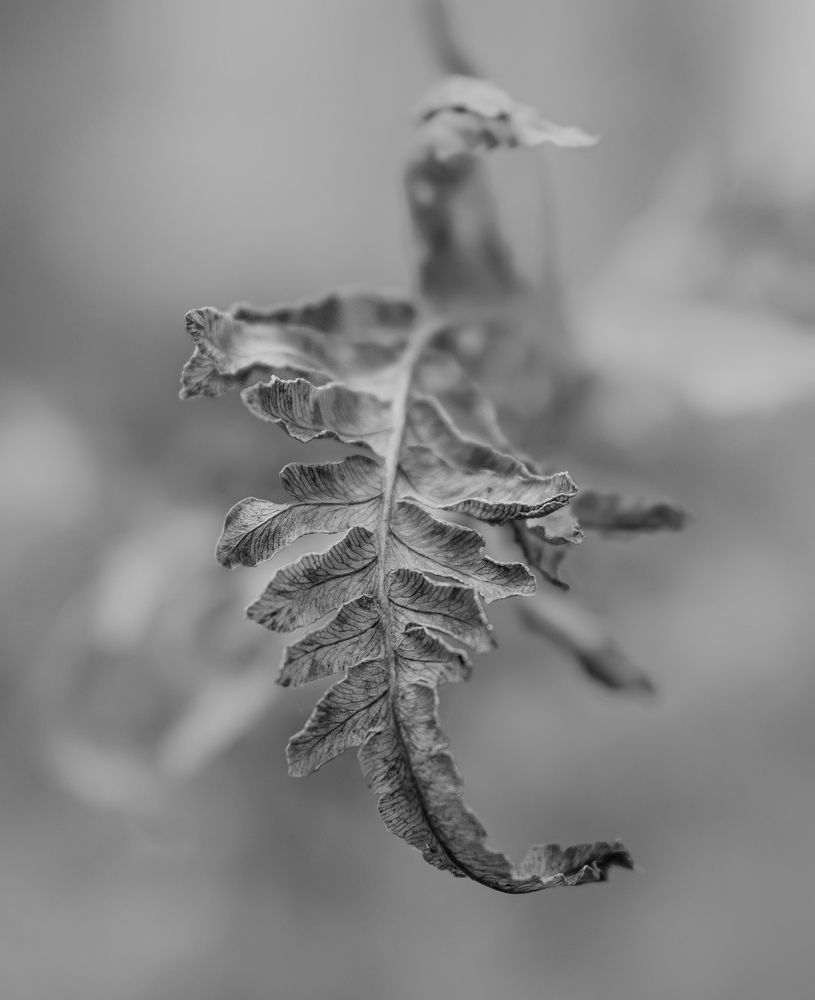 Photograph by Дмитрий Демидович