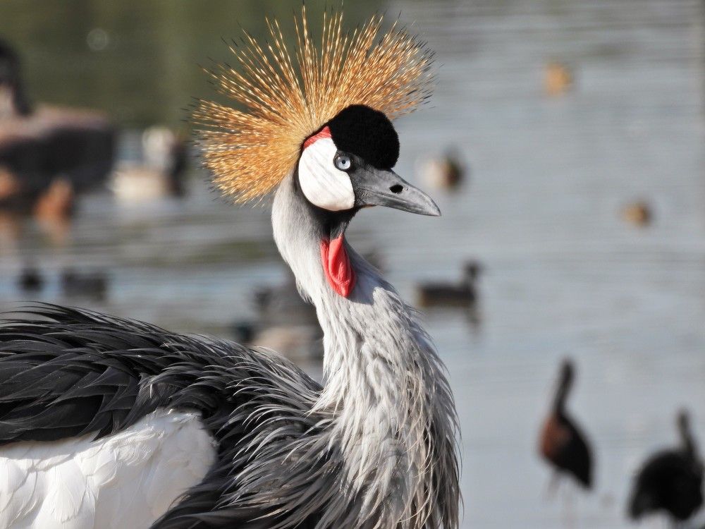 Photograph by Tamir Mor