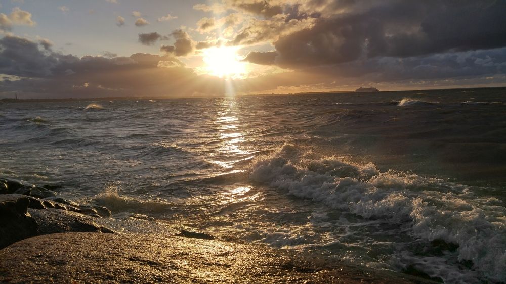 Photograph by Nina Mryha