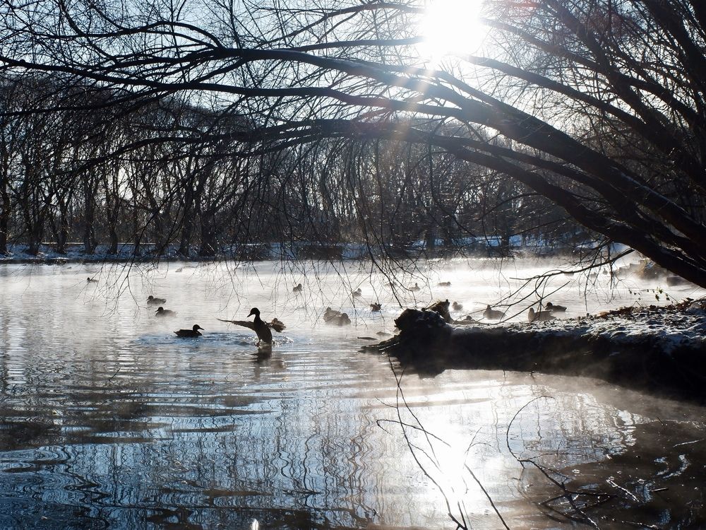 Photograph by Илья Михайлов