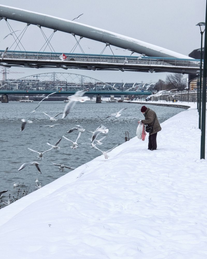 Photograph by Ruslan Pryimak