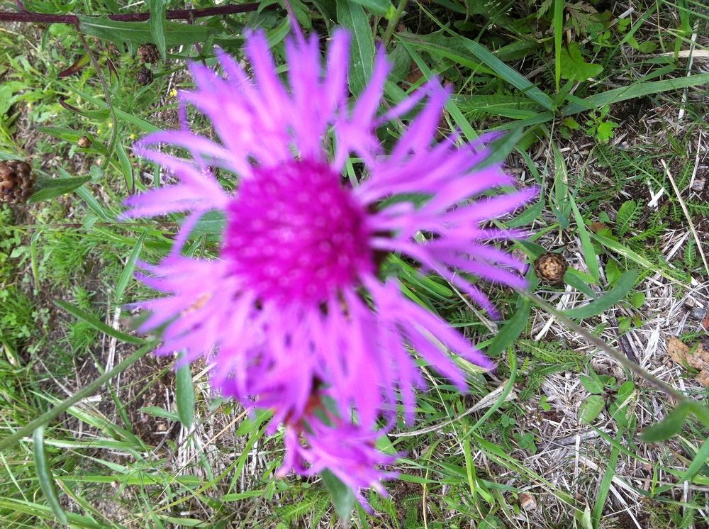 Photograph by Аркадий Каллистов