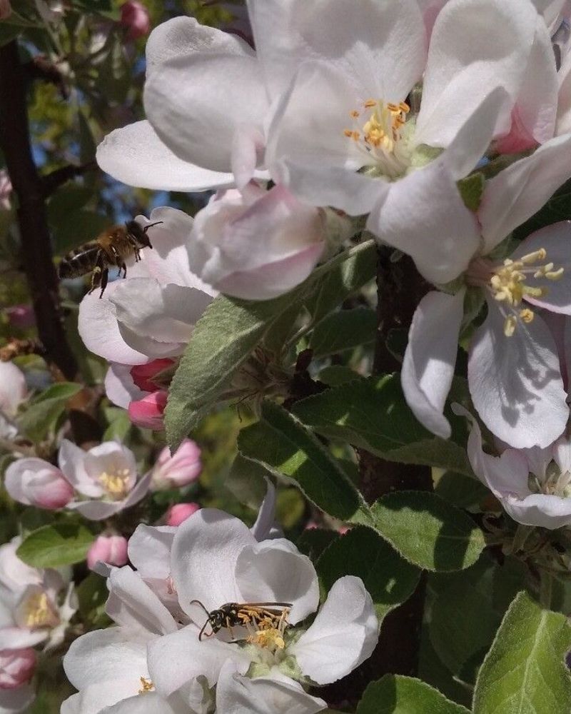 Photograph by Татьяна