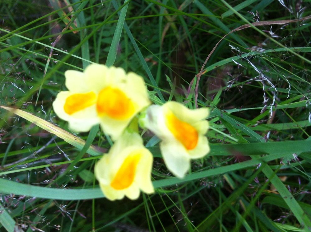 Photograph by Аркадий Каллистов