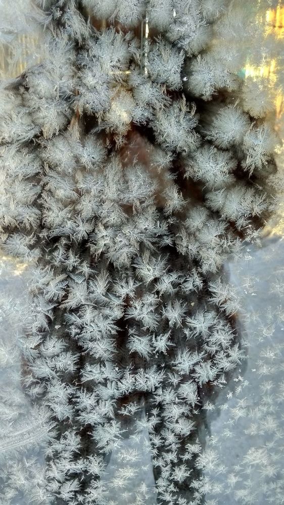 чудеса природы