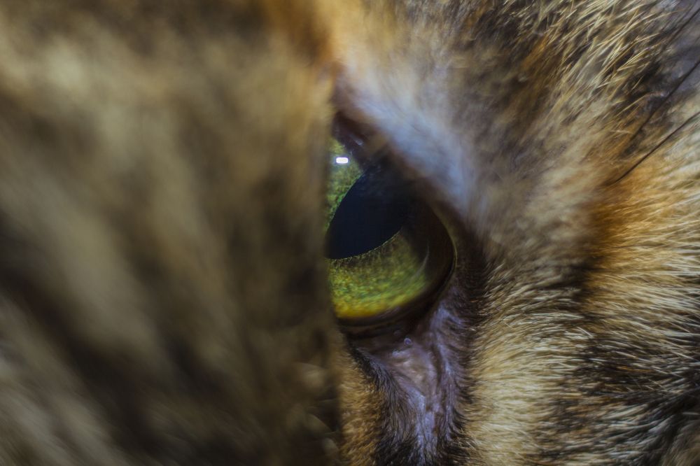 Photograph by Николаева Светлана