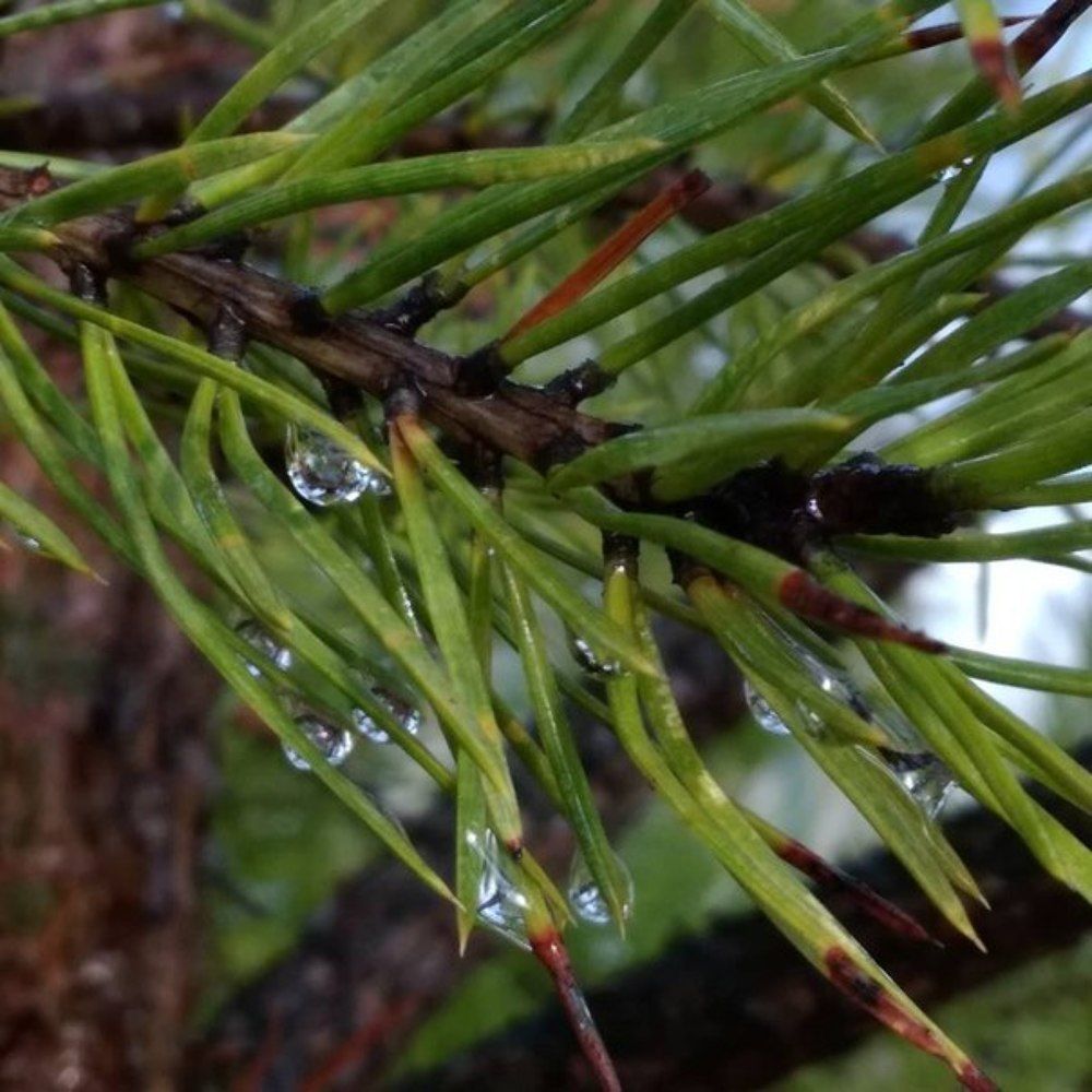 Photograph by Татьяна