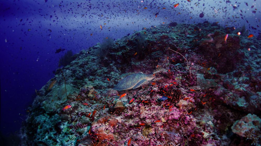 Фотография автора Evgeny Gorbunov