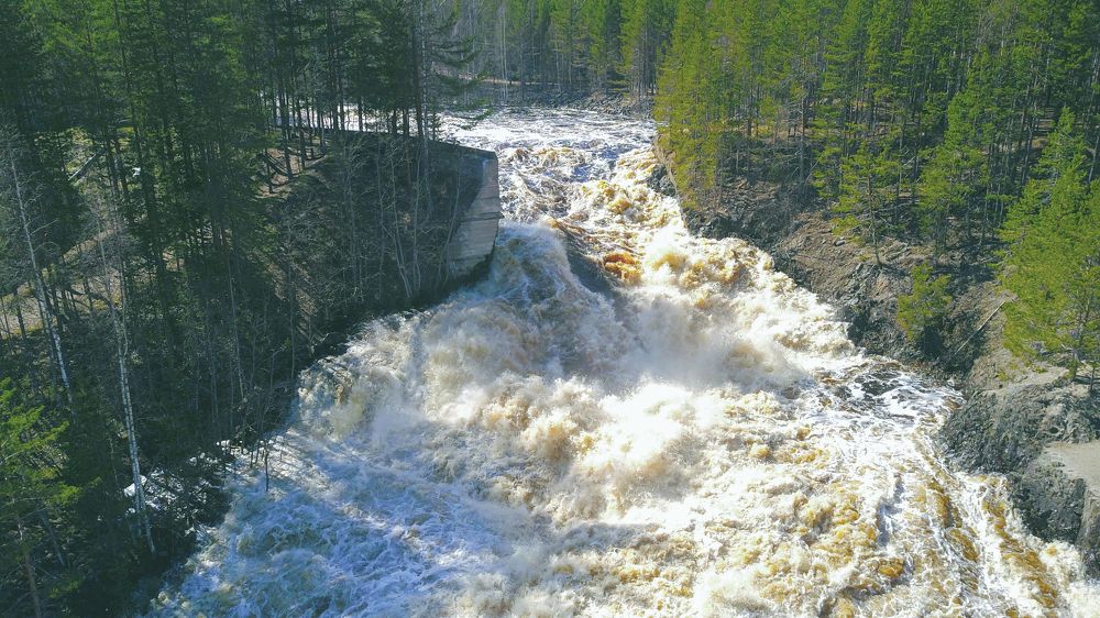 Photograph by Николаева Светлана