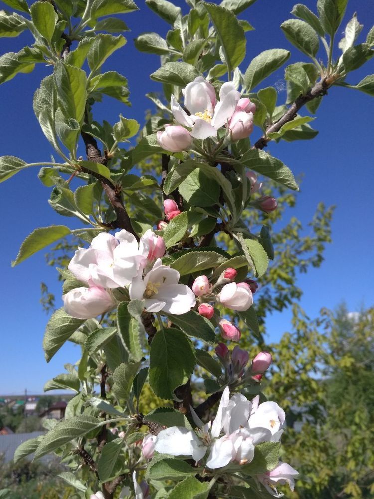 Photograph by Татьяна