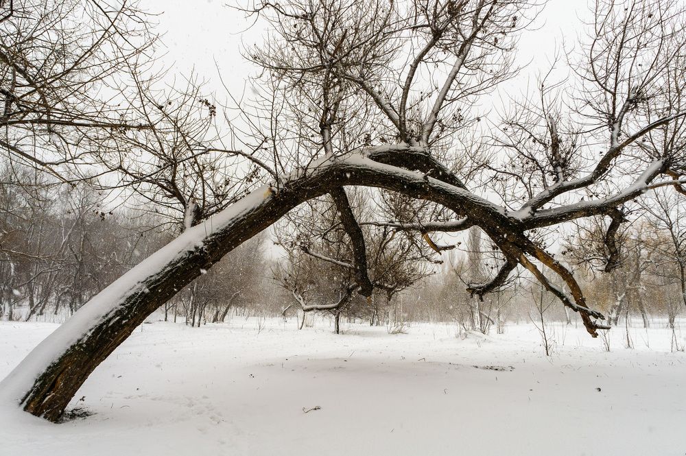 Photograph by Олег Ершов