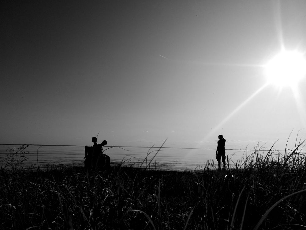 Photo #5606173