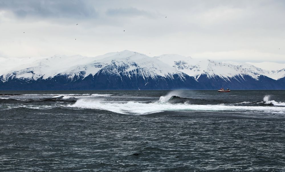 Фотография автора Evgeny Gorbunov