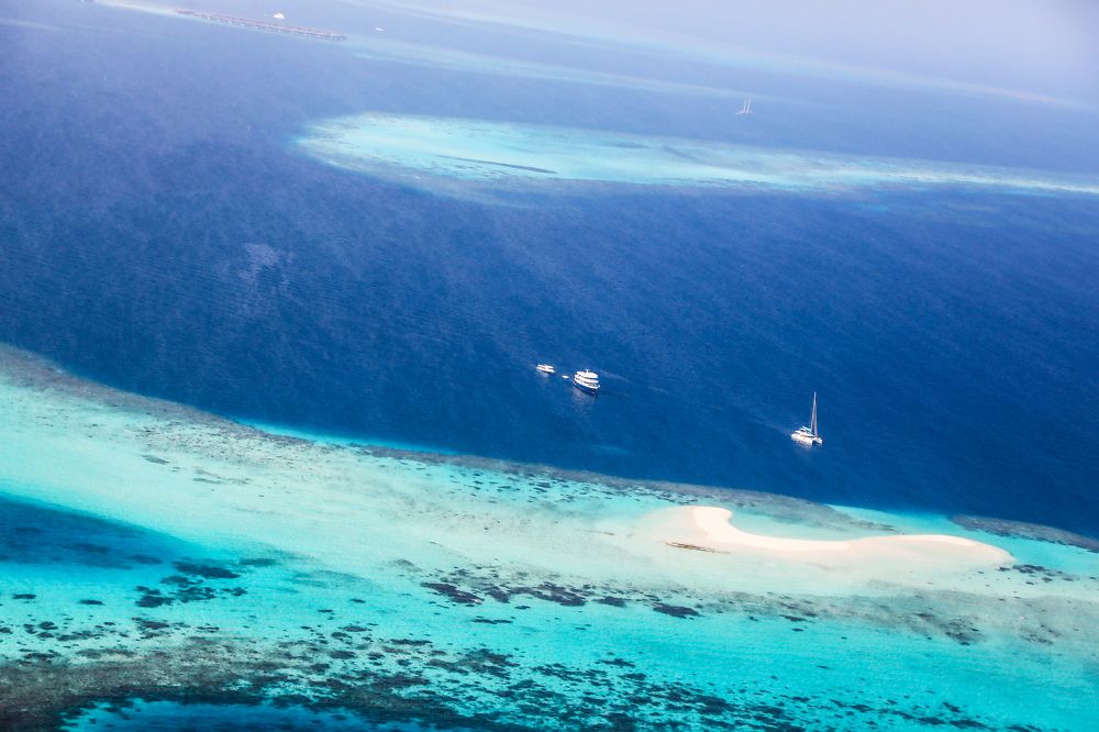 Фотография автора Evgeny Gorbunov