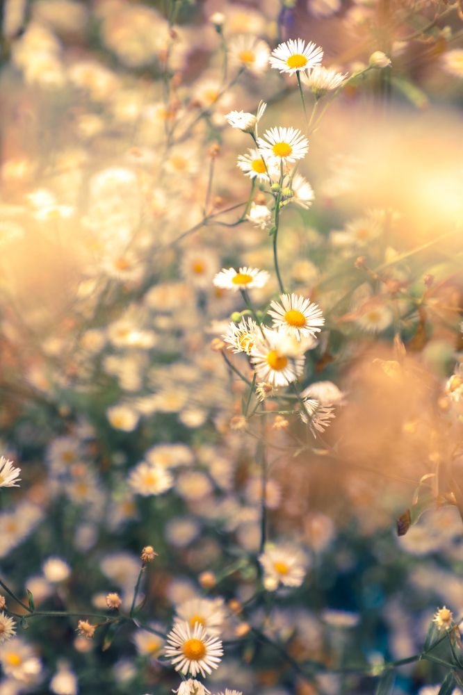 Фотография автора Evgeny Gorbunov