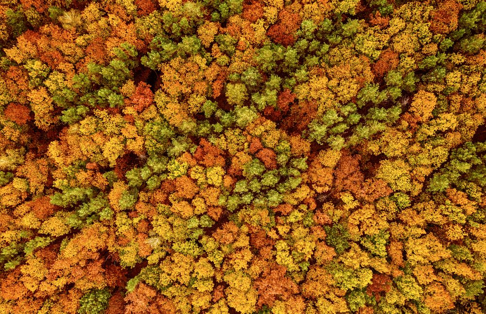 Photograph by Roksana Bashyrova