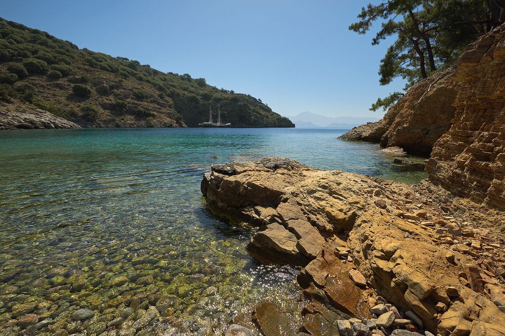 Фотография автора Панин Олег