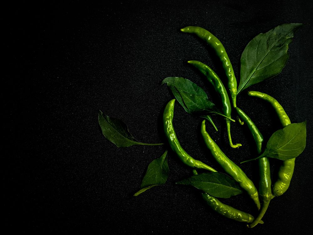 Photograph by Navami Sunil