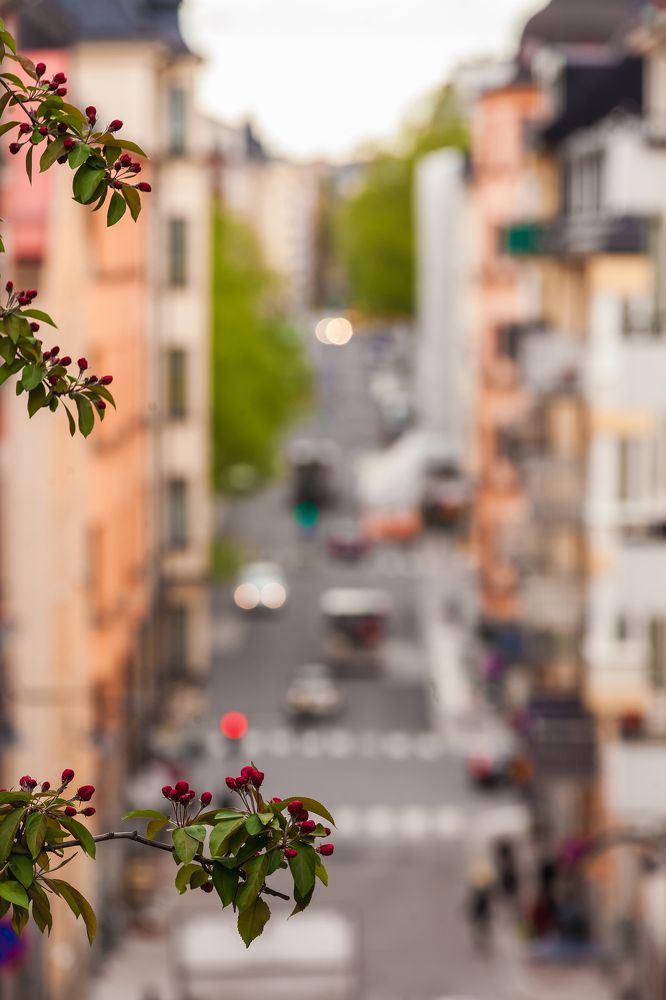 Photograph by Руслан Бикбаев