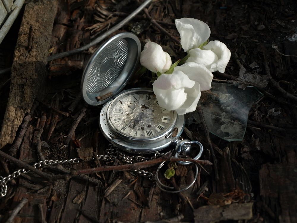 Photo #5606475