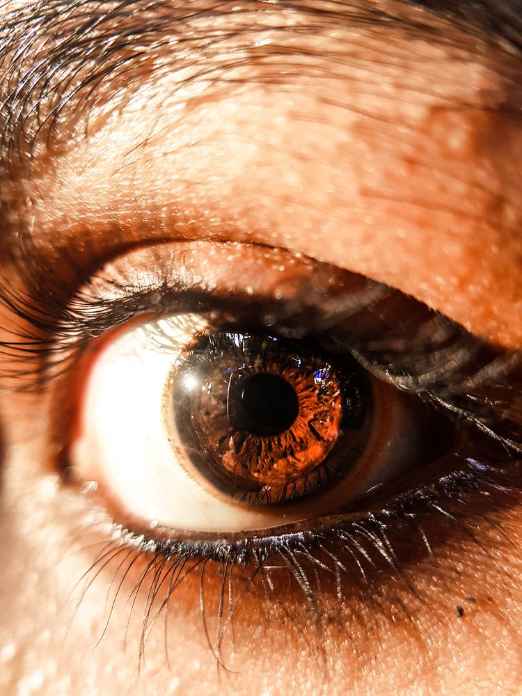 Photograph by Navami Sunil