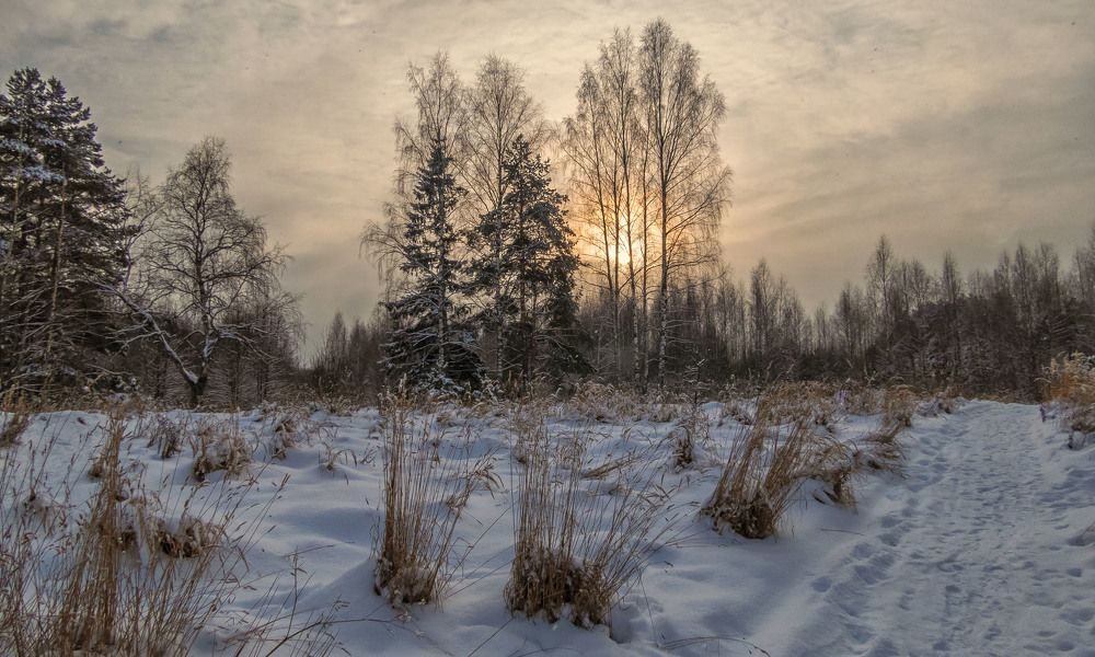 Короток январский день