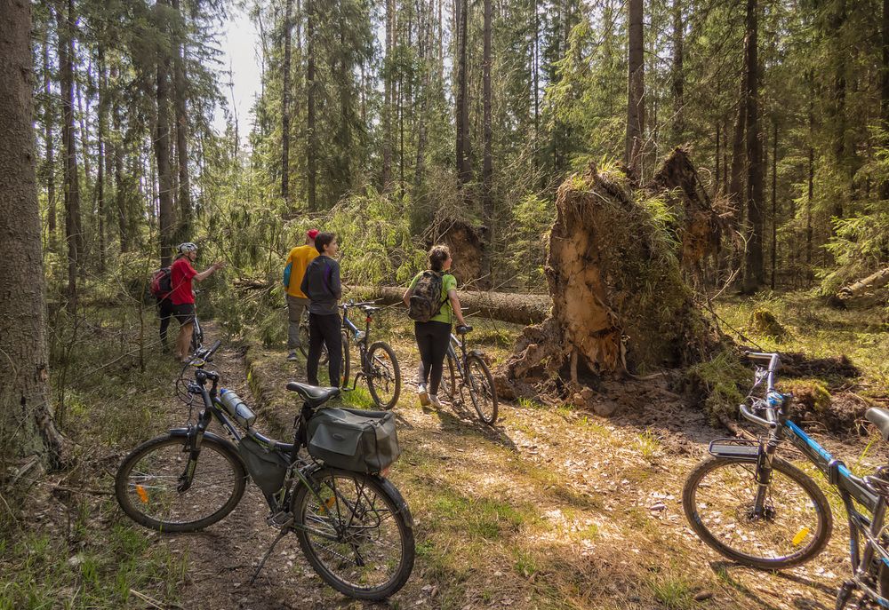 Photograph by Цветков Сергей