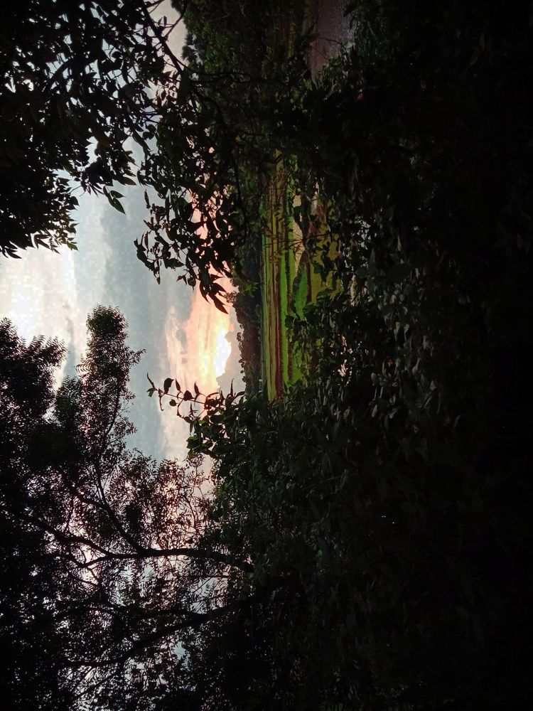 Photograph by Sartajuzzaman