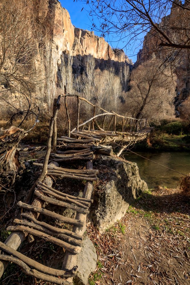 Photograph by SIARHEI RABCHONAK