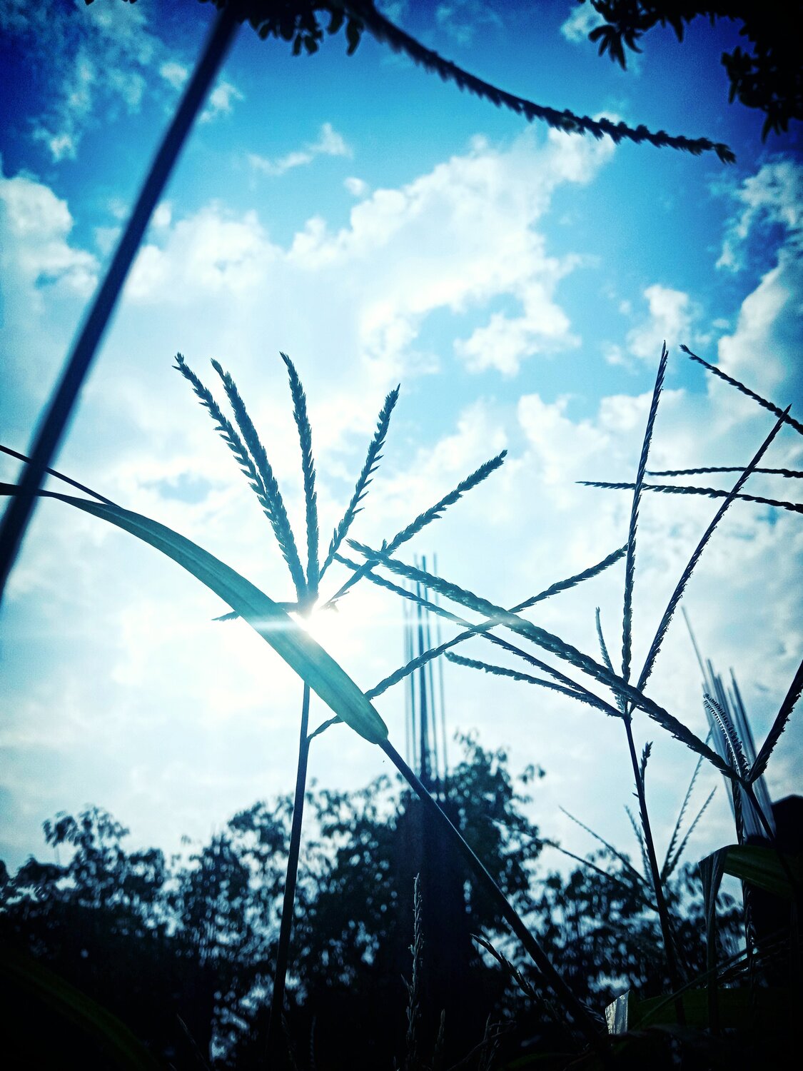 Photo #5606663
