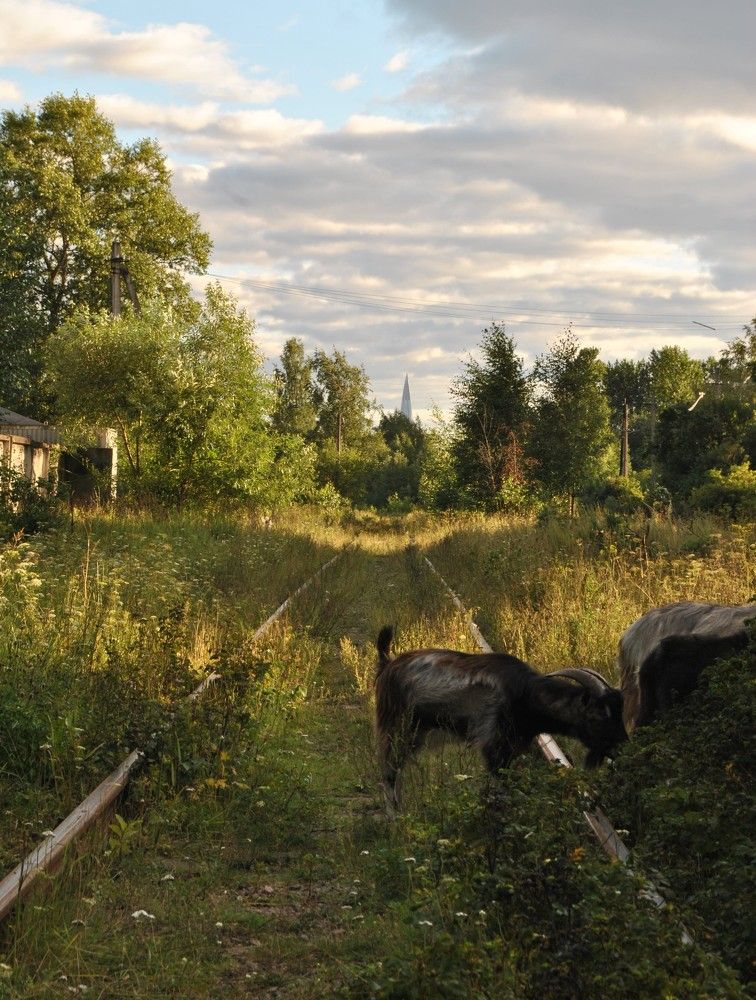 Photograph by Константин Боган