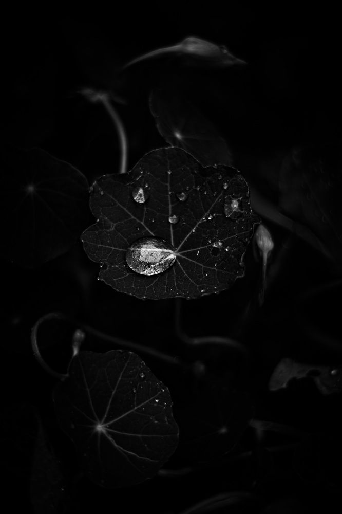 Photograph by Полина Каменкова