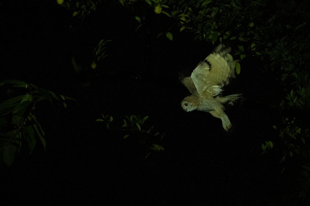 Photograph by Nabarun Majumdar