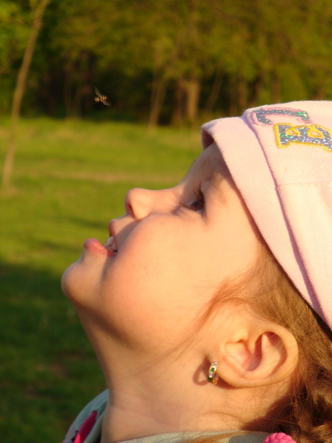 Photo #5606794