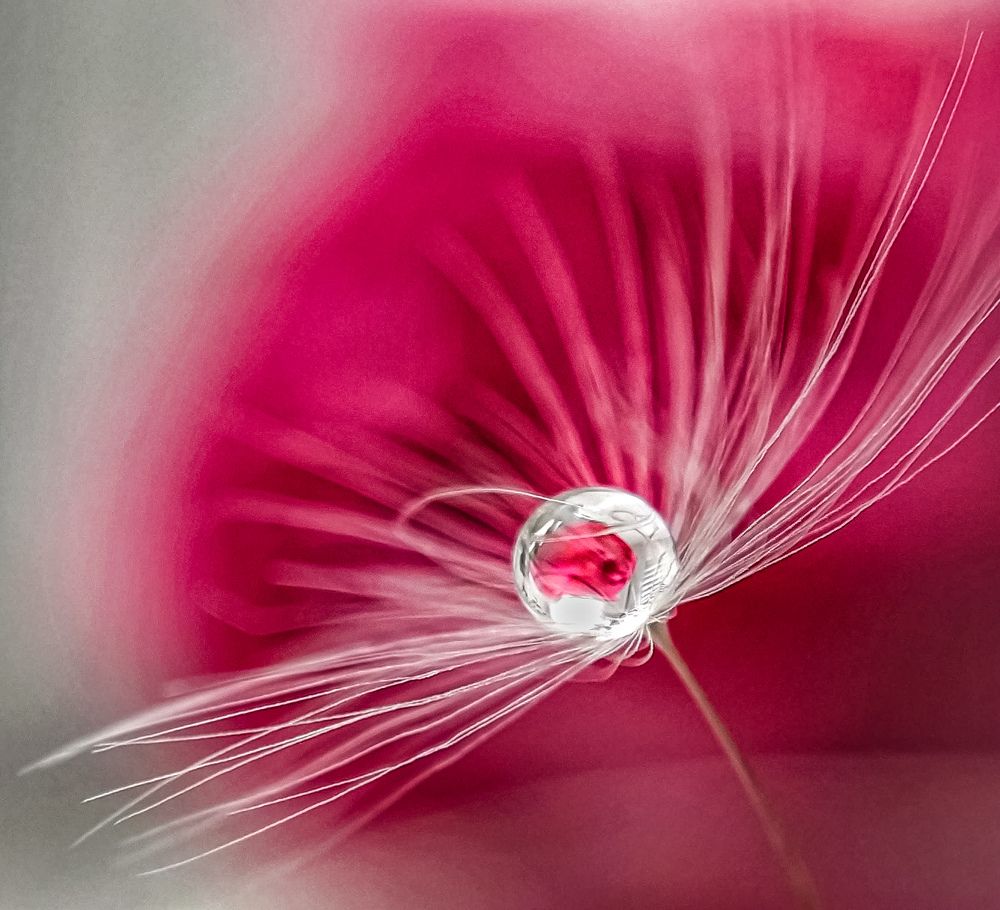 Photograph by Елена Бохолдина