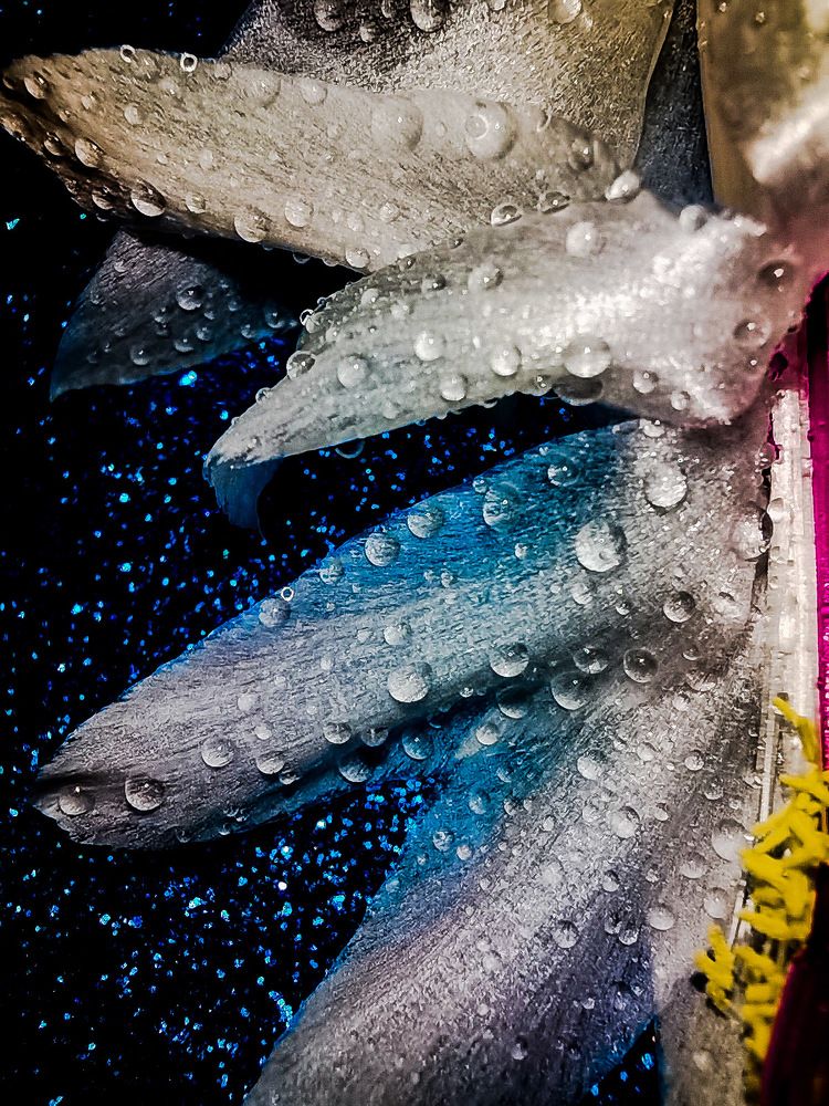 Photograph by Юлия Чванова