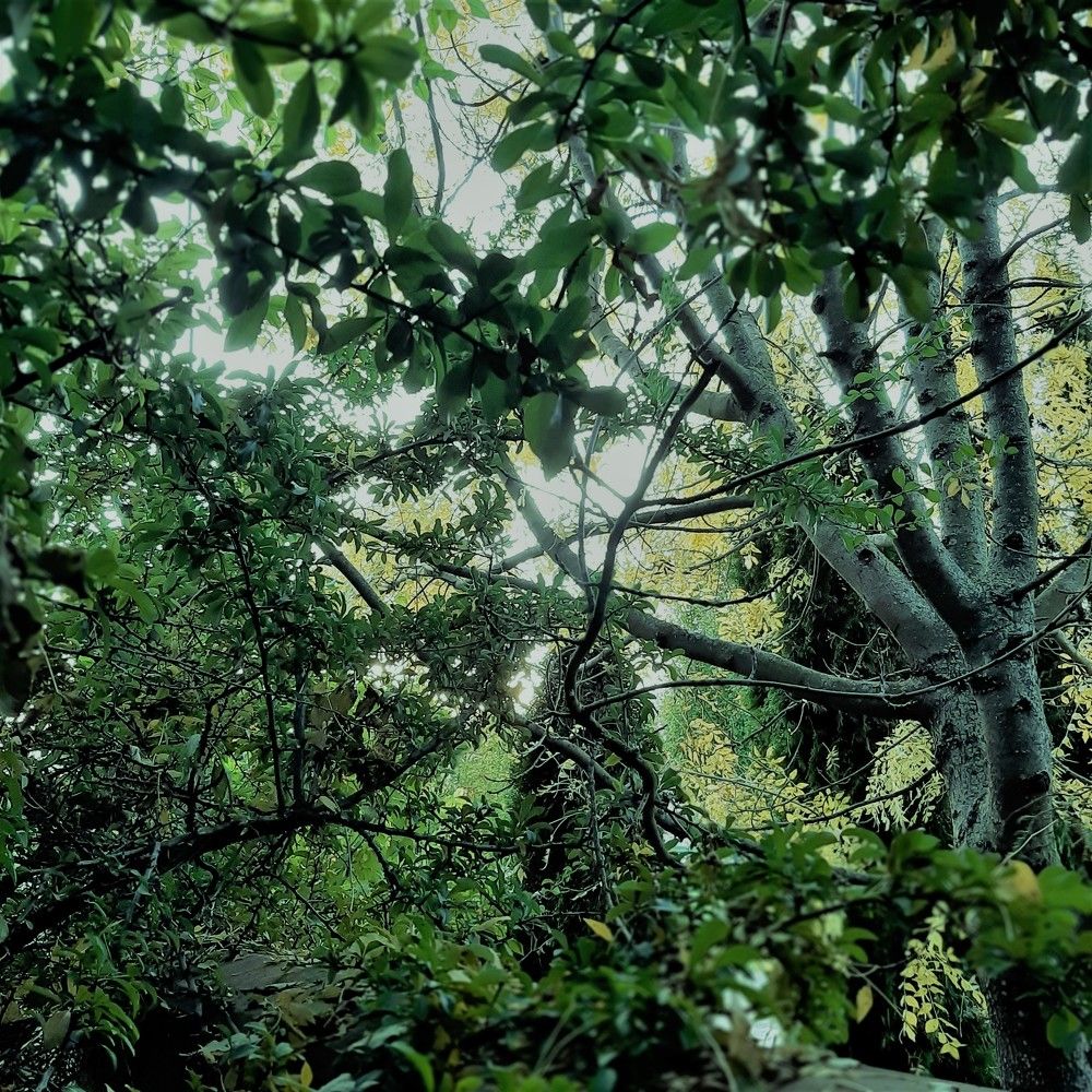 Photograph by Eszter Barak
