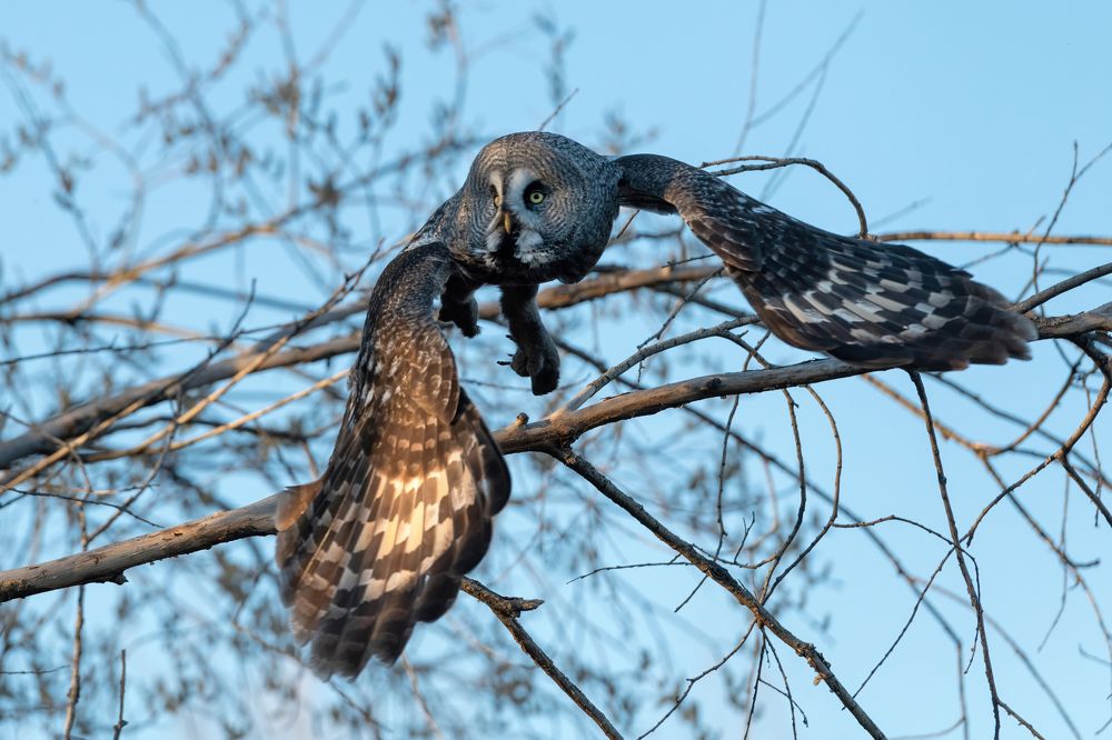 Фотография автора Гасич Татьяна