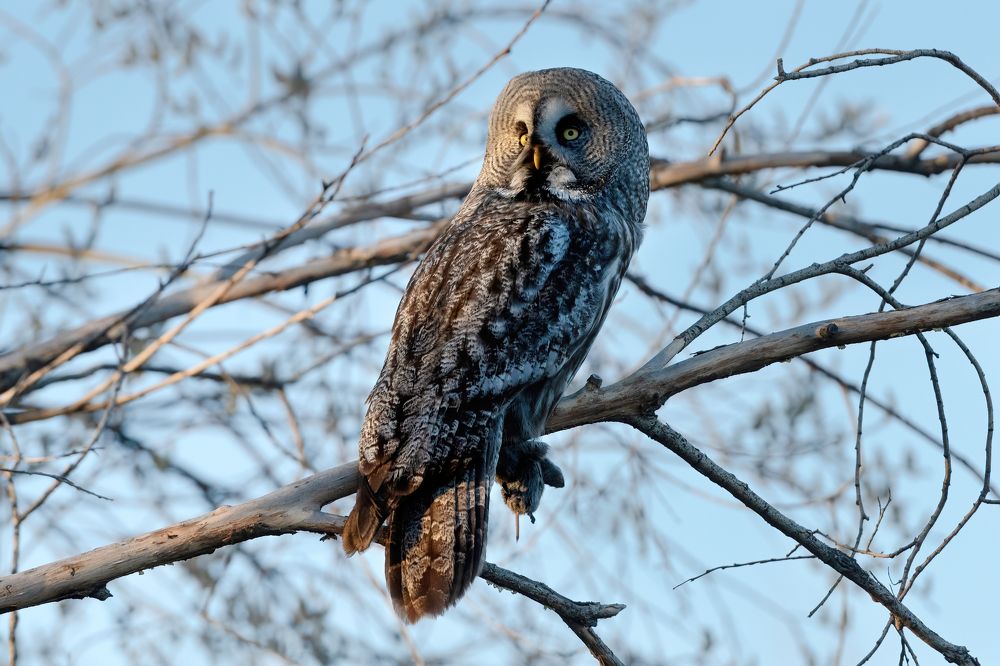 Фотография автора Гасич Татьяна