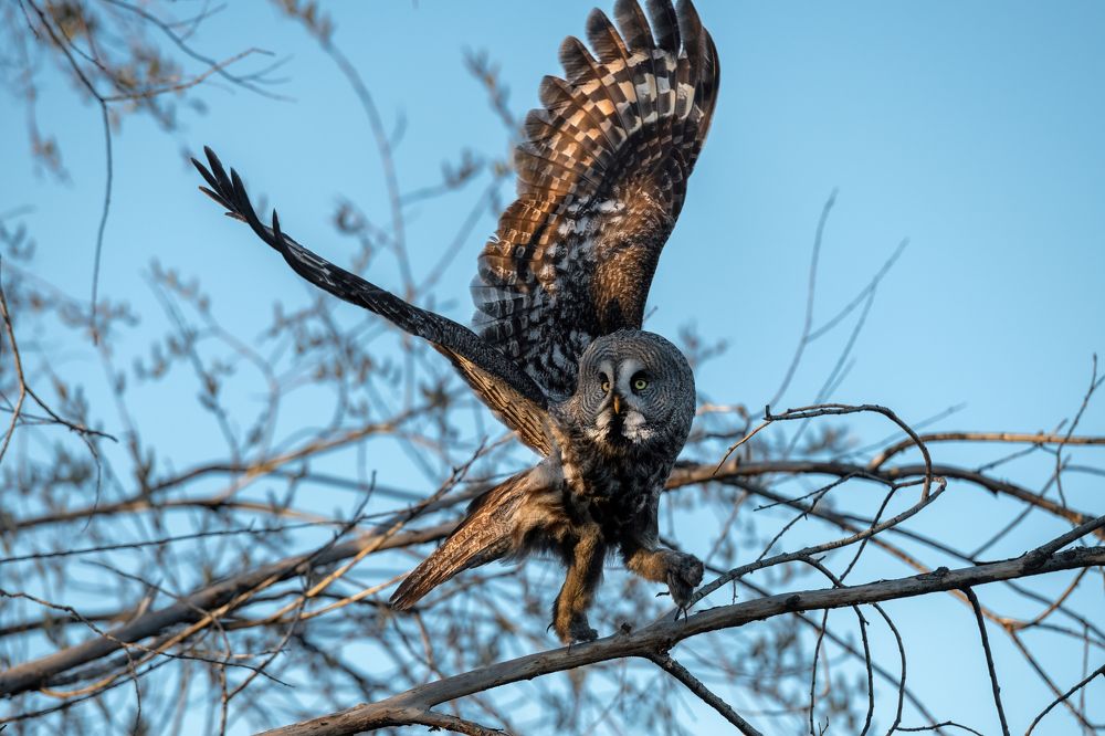 Фотография автора Гасич Татьяна